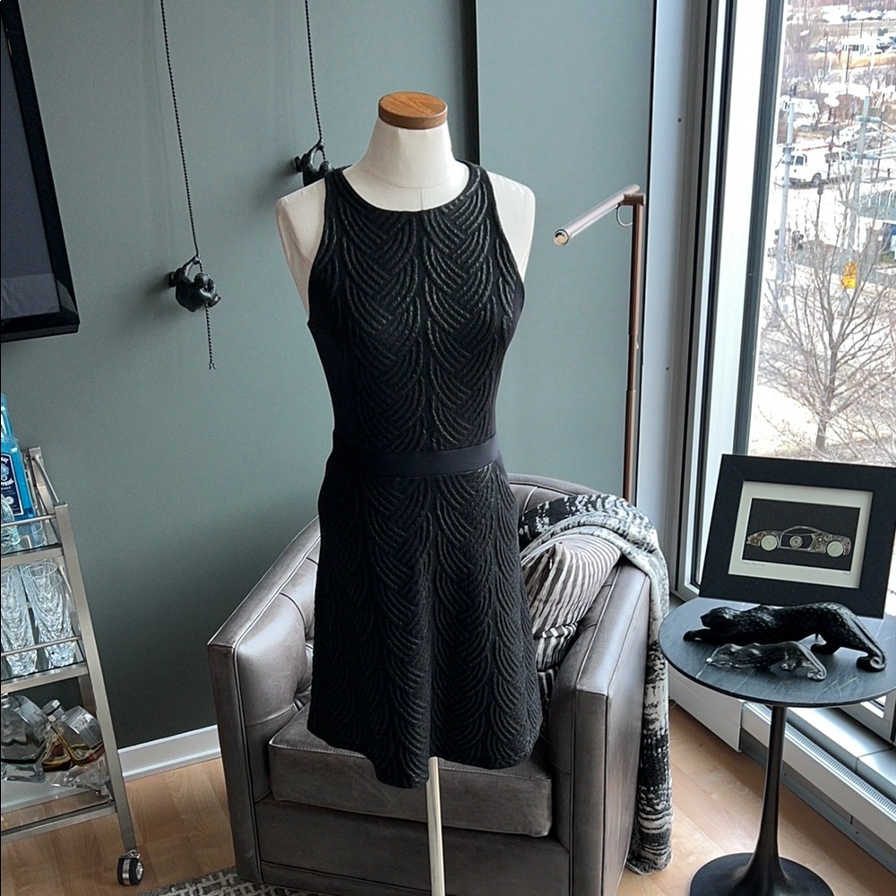 Black Wai Ming Rosemary Sleeveless Fit & Flare Paneled Dress Size 6